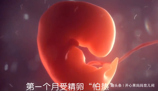 [胎儿在孕妈肚子里最怕啥？怀胎十月，每个月都有不同的点]
