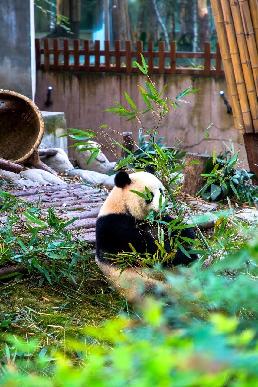 美丽中国-1545:有着“世界首条山区高速铁路”之称的成贵高铁 美丽中国-1545:有着“世界首条山区高速铁路”之称的成贵高铁