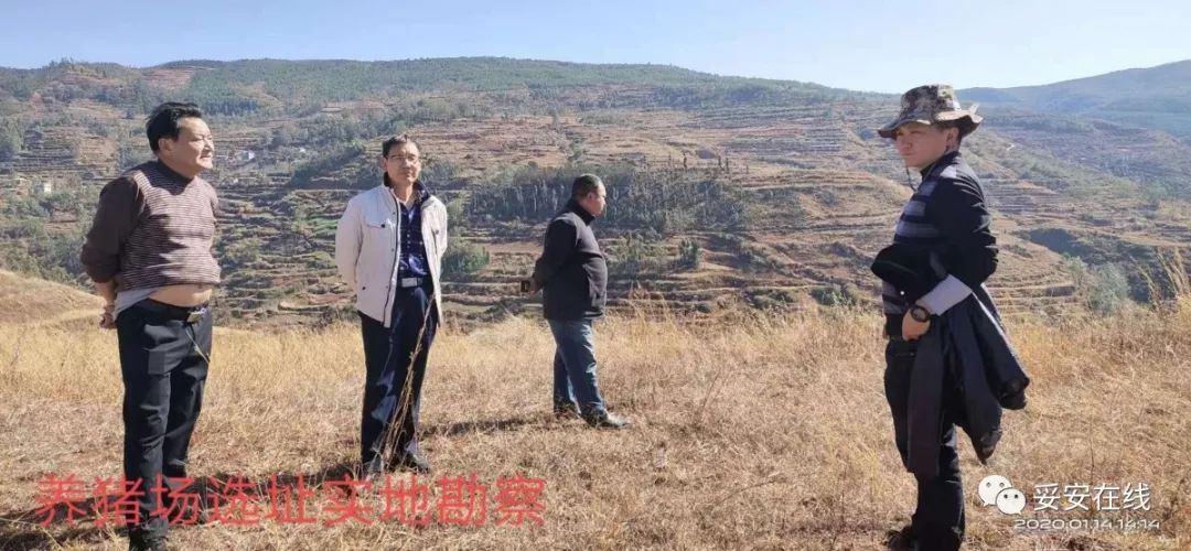 在禄丰县投资促进局推荐下,2020年1月14日唐人神集团与禄丰县农业农村