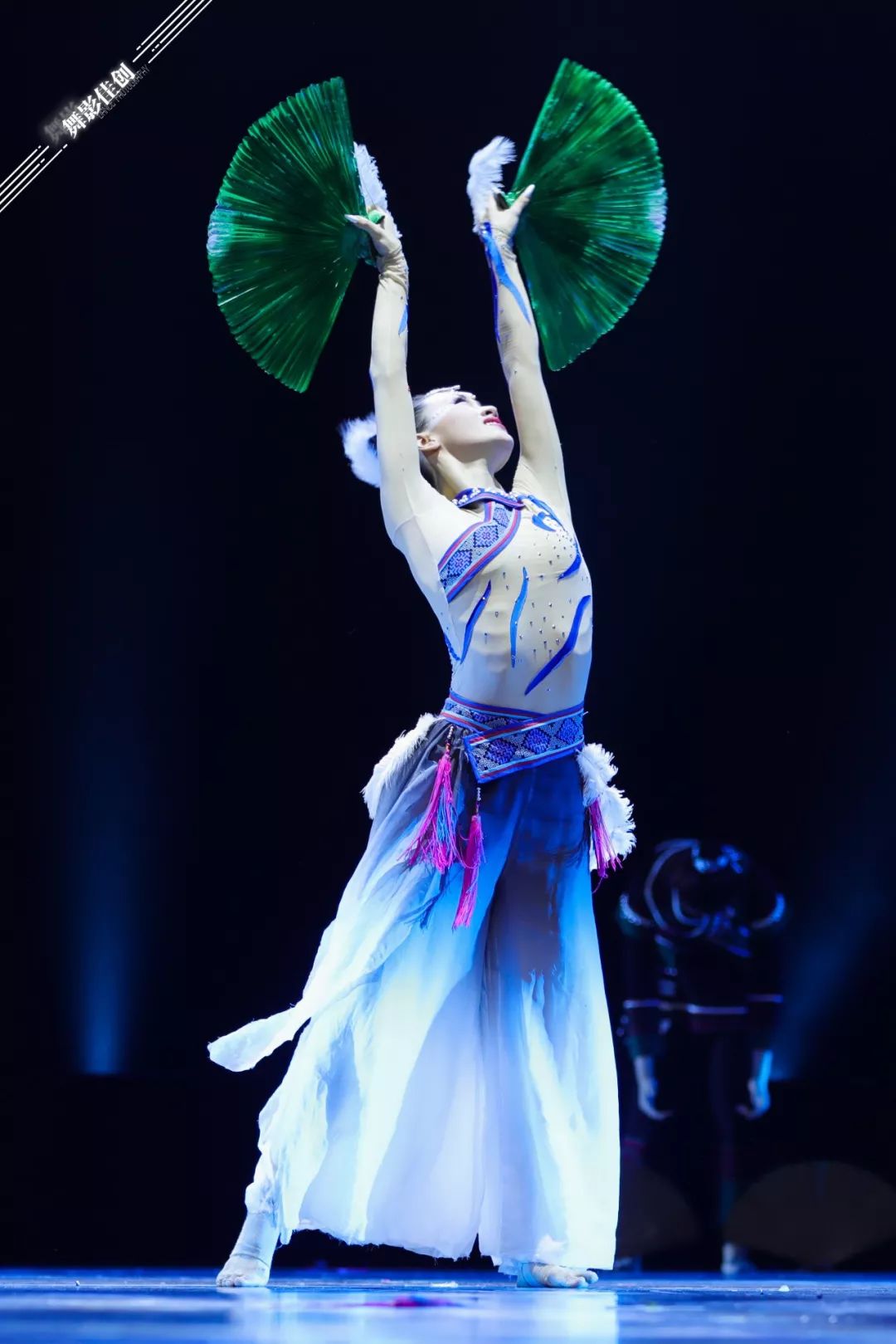 第十二届中国舞蹈荷花奖民族民间舞评奖第一场