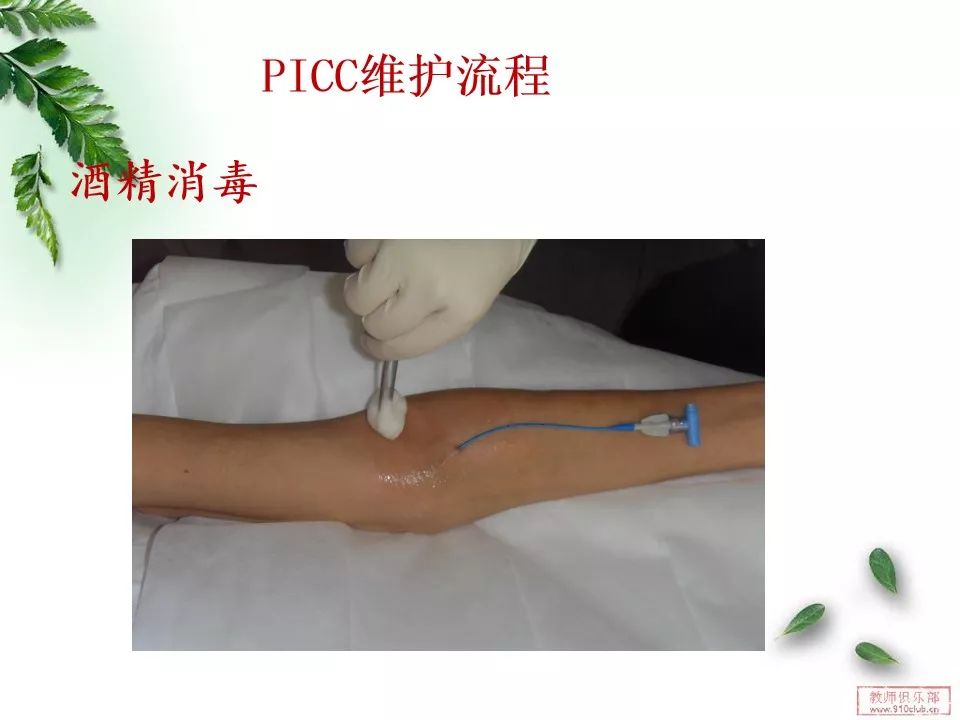 【ppt】picc导管的维护,这篇真的很详细!