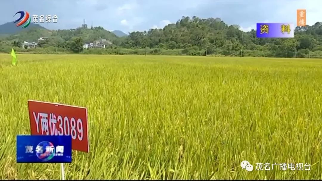 广西比海南经济总量高吗_海南大学经济学院院徽(3)