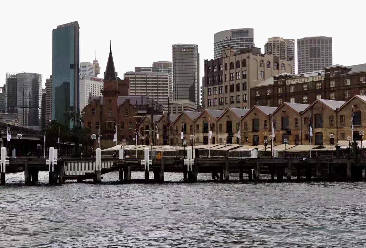 新城、蔚来、绿地……谁的猪年最“惨”？