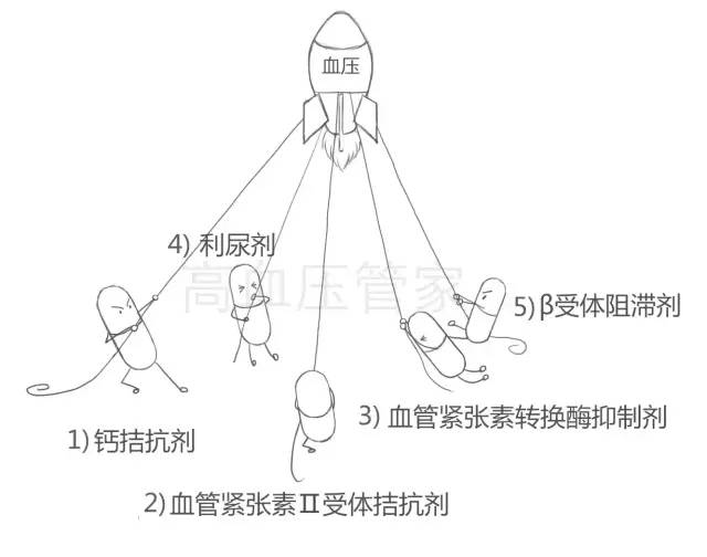 降压药什么原理降压_降压药什么药降压最好(3)