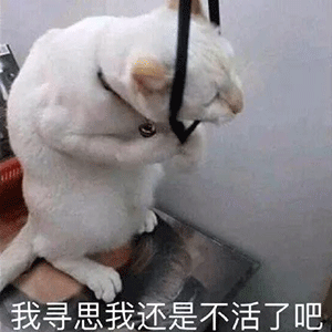 也要看淡任何人的渐行渐远你要习惯任何人的忽冷忽热