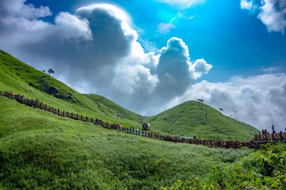 江西武功山景区高山草甸介绍