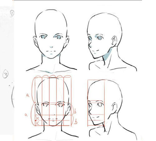 板绘初学者怎么把人物脸部画好?