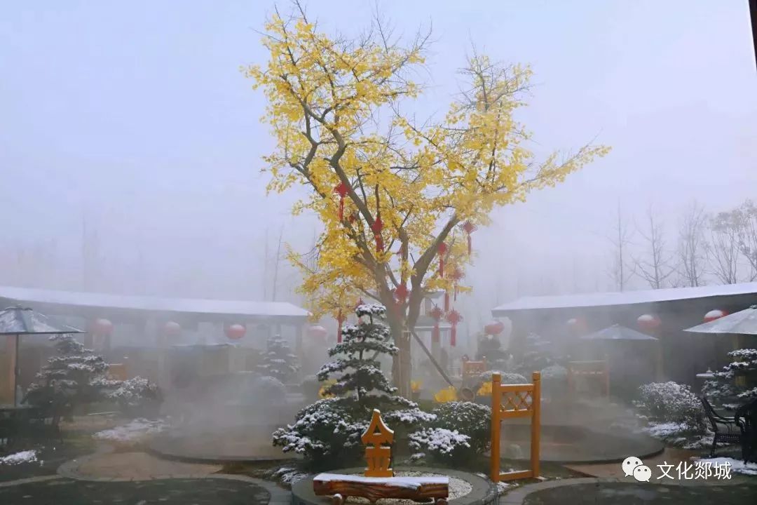 郯城县文旅活动闹新春,这份手册请收好!_滑雪