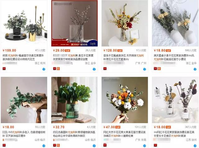 难灭的澳洲山火：桉树“点火”，猛禽“助燃”