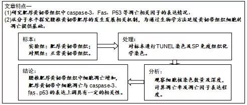 活性与益肾活血通络方的干预调控陈 江,肖辉灯,孙 旗,张 帆,祝永刚