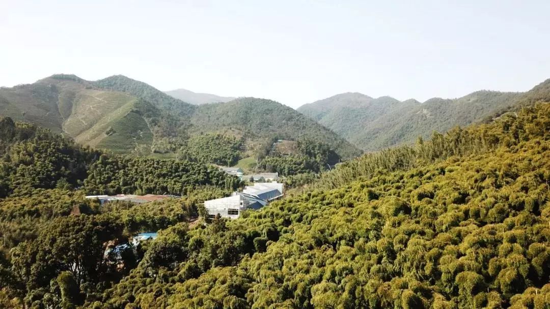 殊不知,同在湖州的吴兴也是度假绝佳去处,那里有一片被隐藏的山谷,说