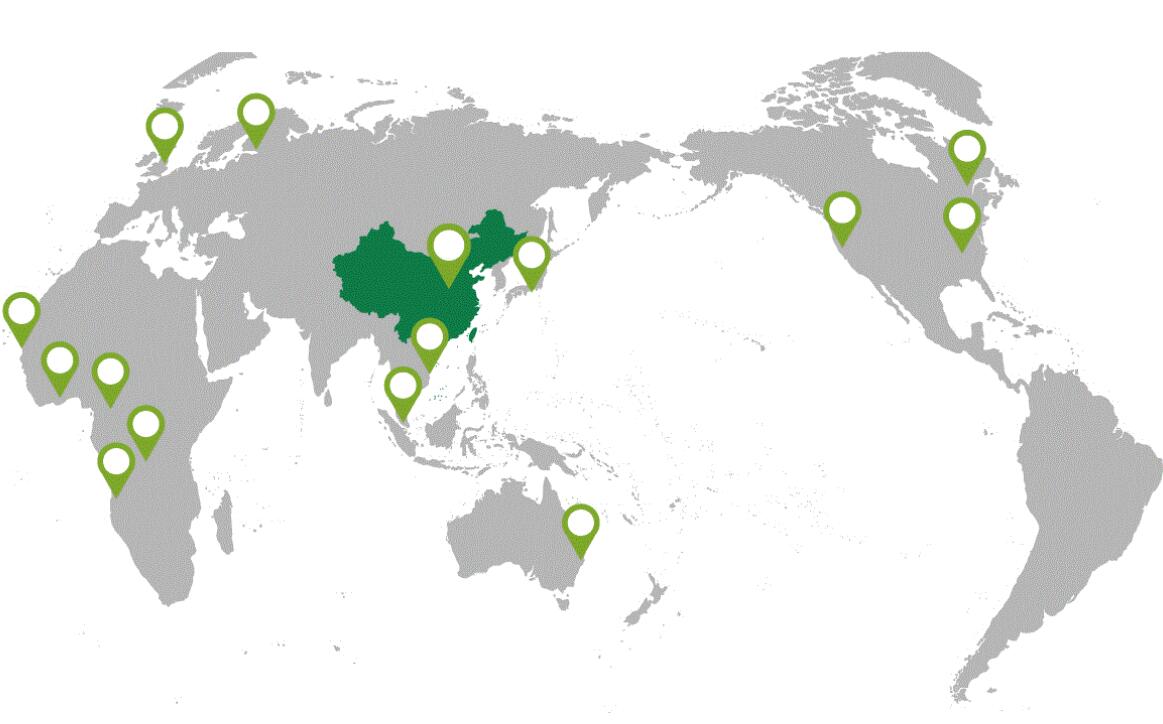 新城、蔚来、绿地……谁的猪年最“惨”？