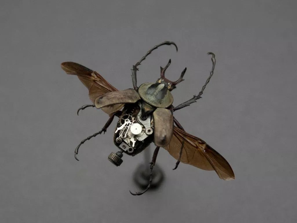 机械昆虫美国艺术家mikelibby