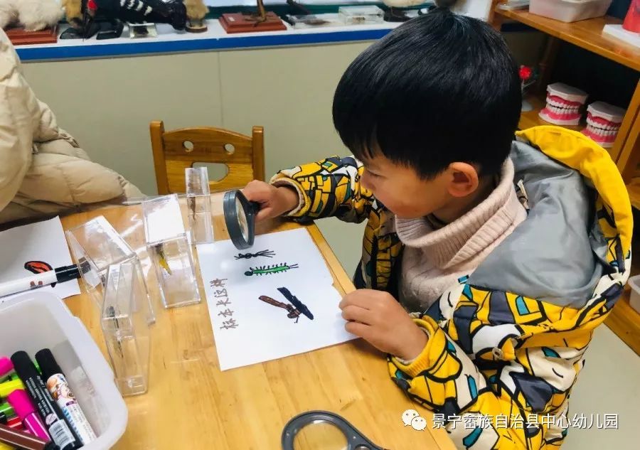 景宁县中心幼儿园科学馆里趣探究