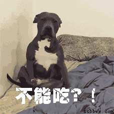 404e35a0b0814521b49584df48a32eba.gif