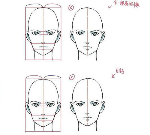 板绘初学者怎么把人物脸部画好?