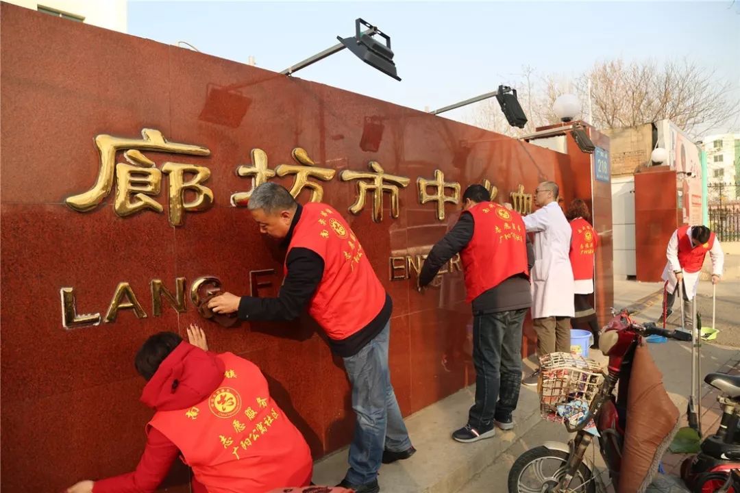 社区人口普查主题党日活动(3)