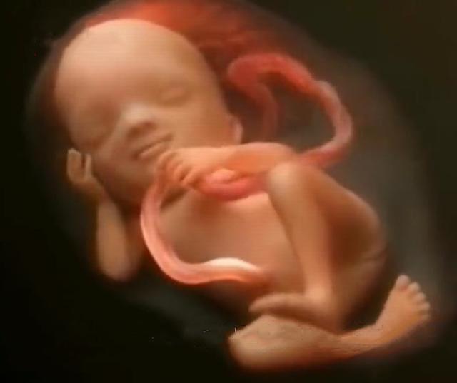  [孕期这些反应，说明胎儿在“猛长”！营养跟得上，胎儿发育得更好] 