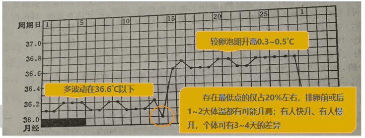 bbt是什么意思