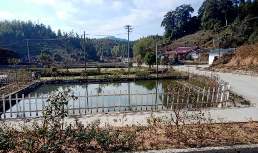 美丽乡村建设示范村—明溪县胡坊镇冯厝村 胡坊镇提供胡坊镇生态