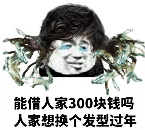 能借人家300块钱吗人家想换个发型过年(熊猫头)