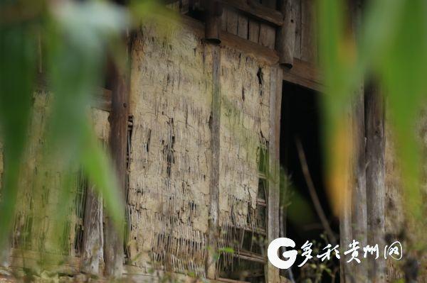 寨下村人口_人口普查(2)