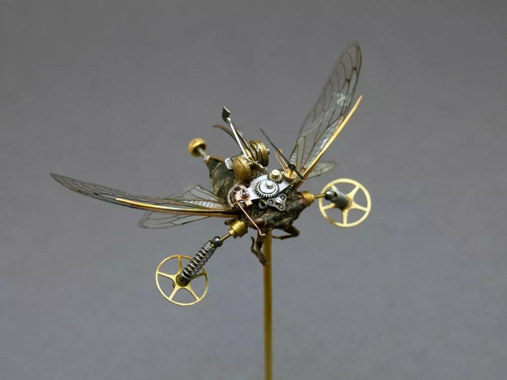 机械昆虫美国艺术家mikelibby