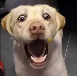 9b6359762eaa427e90d5bd7e92714ec0.jpeg