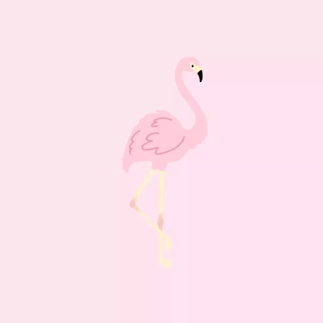 a2ab348b3cec4a8dbb04e633e0d5456f.jpeg