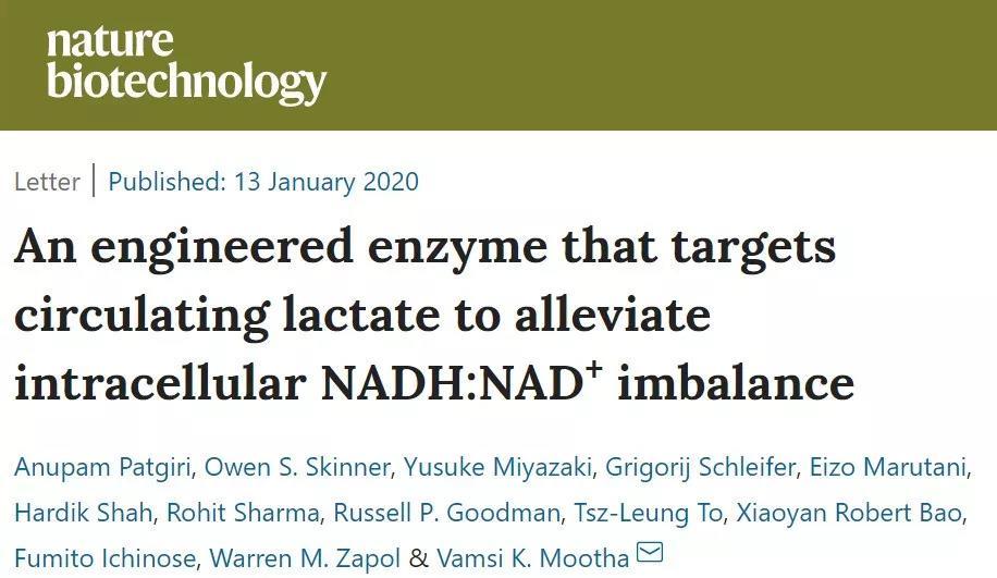 【Nature子刊：人工合成酶可能为线粒体功能异常疾病提供新疗法】 