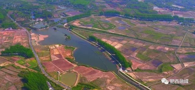 绘就肥西交通"建设蓝图" 春节临近,花岗镇杨湾村扶贫产业园内蔬菜上市