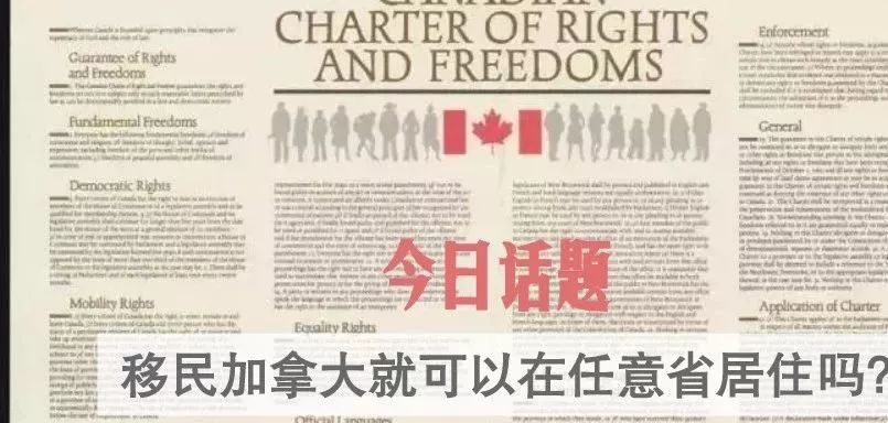 理解力上不去是什么原因 e431964eb51844039f2a937a6ee2c117.jpeg