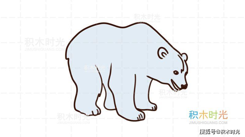 动物简笔画大全画熊简笔画积木时光简笔画大全