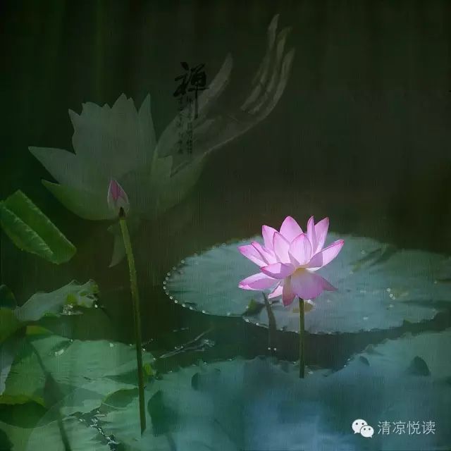 〔清凉禅音〕云水禅心-花开见佛