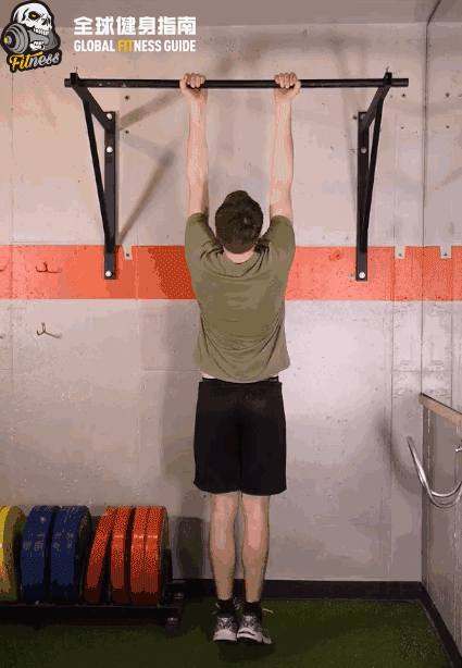 每日健身|初学者必练9大黄金健身动作!