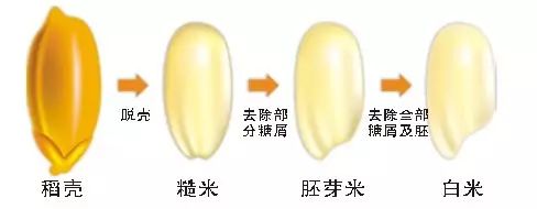 米饭加一物，降脂助睡眠！味道还特别棒|