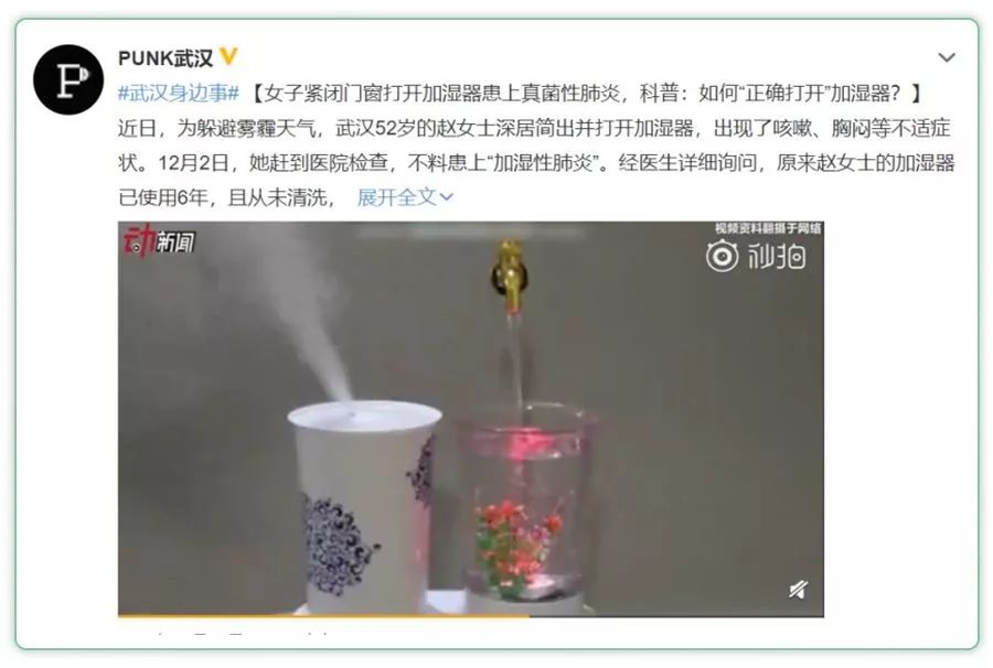 细菌开大会是什么成语_细菌门是什么(2)