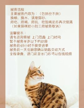 “春节,我回村了,把猫送去469元一晚的总统套房”