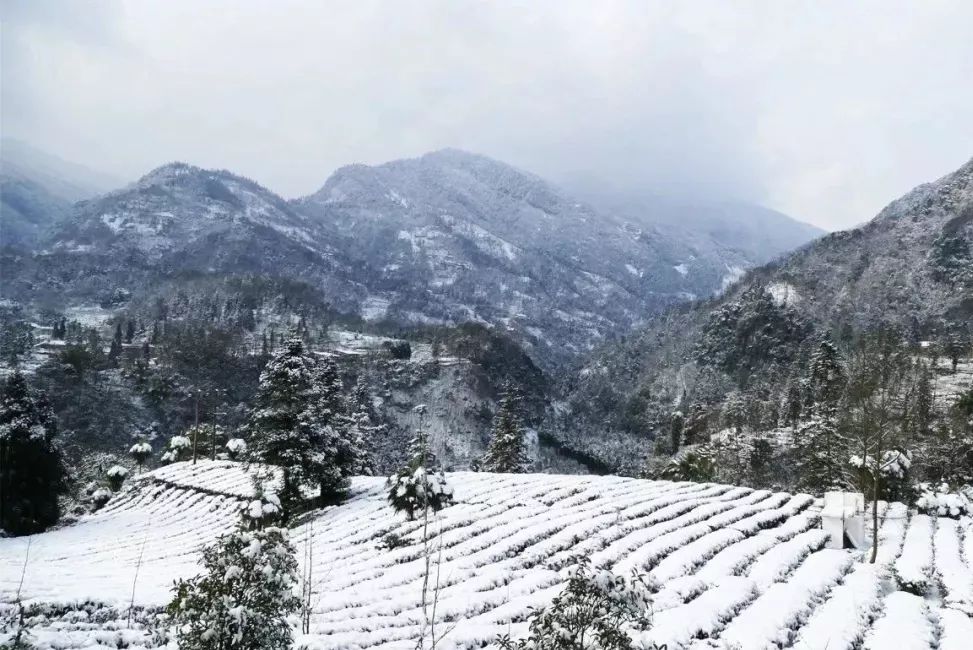 峨眉山市有多少人口_国庆临近 峨眉山率先开启金秋朝圣之旅(2)