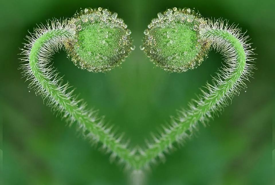 0c4d5b089534474aafba12b5c381c4a8.jpeg