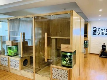 “春节,我回村了,把猫送去469元一晚的总统套房”