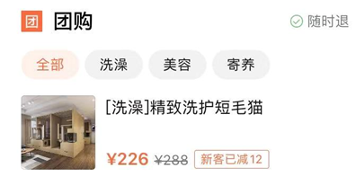 “春节,我回村了,把猫送去469元一晚的总统套房”