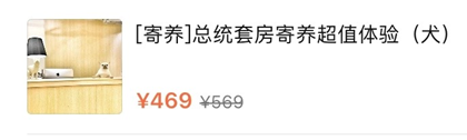 “春节,我回村了,把猫送去469元一晚的总统套房”