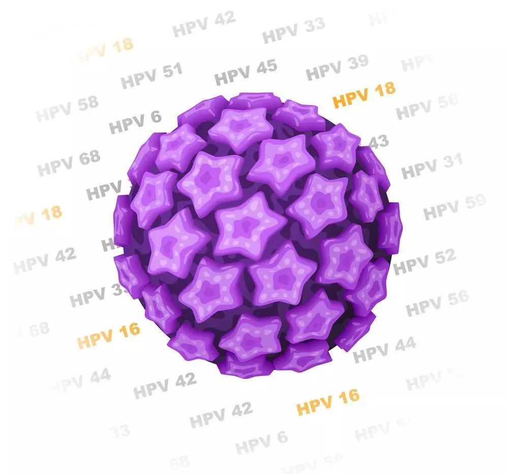 【国产 HPV 疫苗获批上市！一篇文章搞清楚国产进口哪个好】
