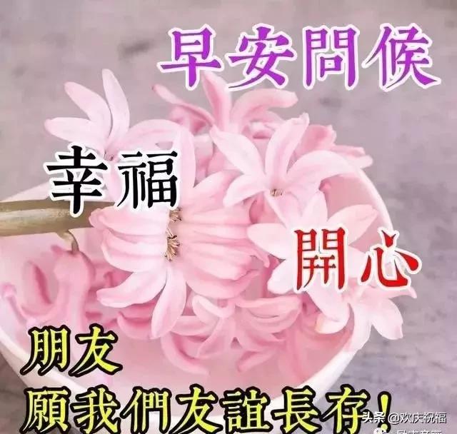 50d338748cb040a09213ec33f346c40d.jpeg