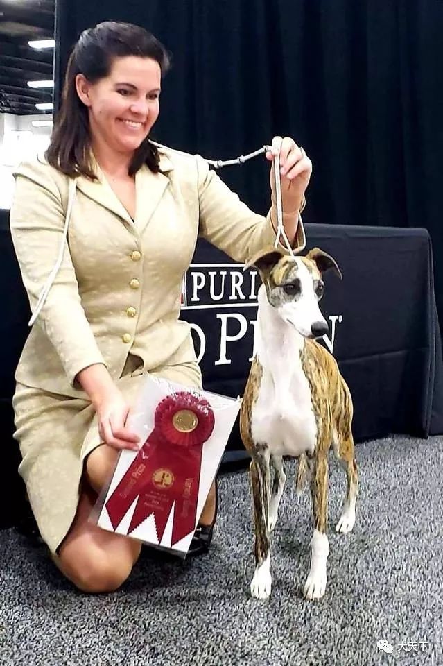 惠比特排名_惠比特(3)