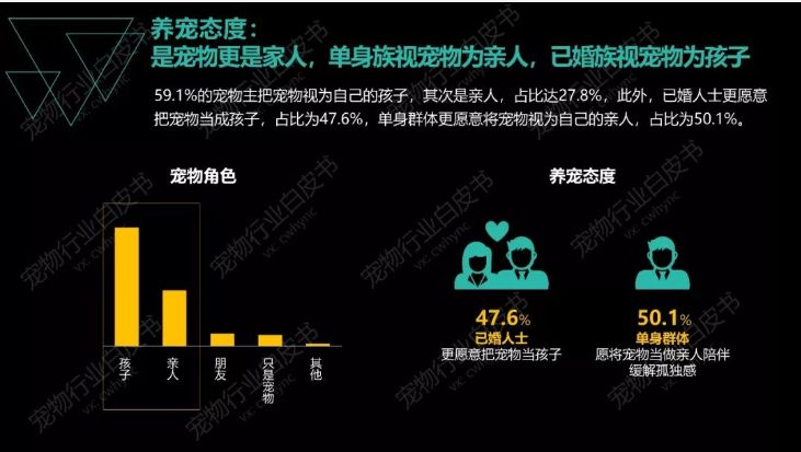 “春节,我回村了,把猫送去469元一晚的总统套房”