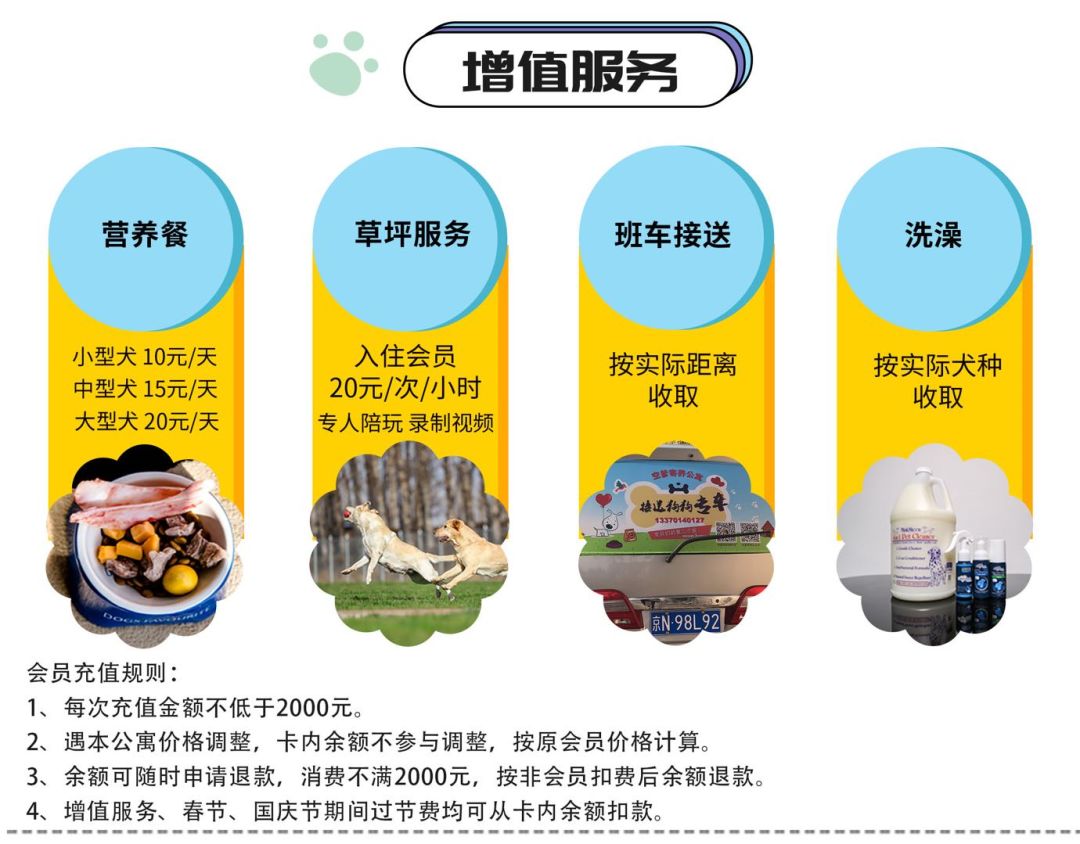 “春节,我回村了,把猫送去469元一晚的总统套房”