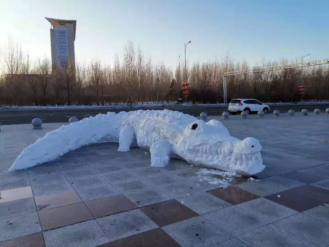 "百年油田"大型雪雕来啦!打卡走起