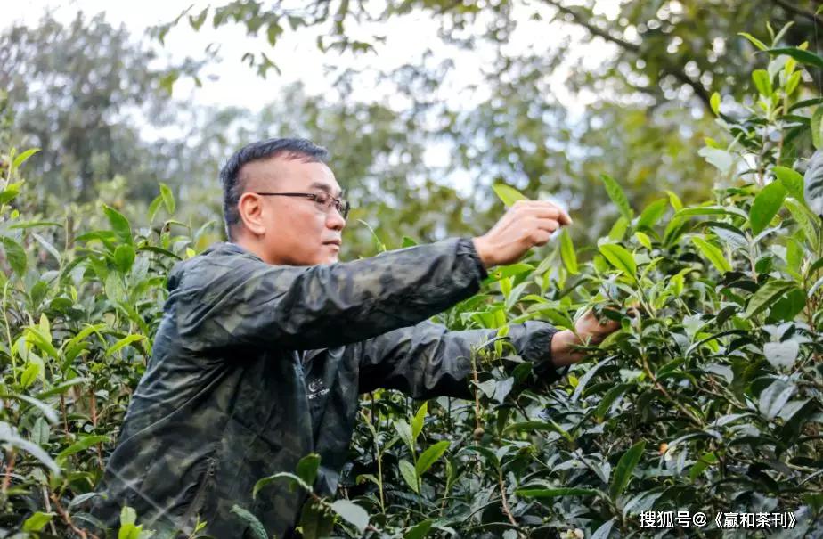 【盛典】赢和2019中国茶行业影响力领袖茶人-邓国_普洱